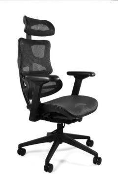 Unique Ergotech Black Mesh Ergonomic Swivel Chair