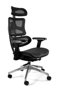 Unique Ergotech Ergonomic Office Chair