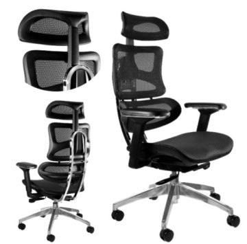 Unique Ergonomic Office Chair for Spine Support