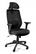Chester Black Ergonomic Mesh Swivel Office Chair